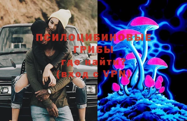 стафф Елизово