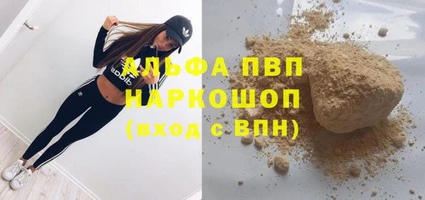 стафф Елизово