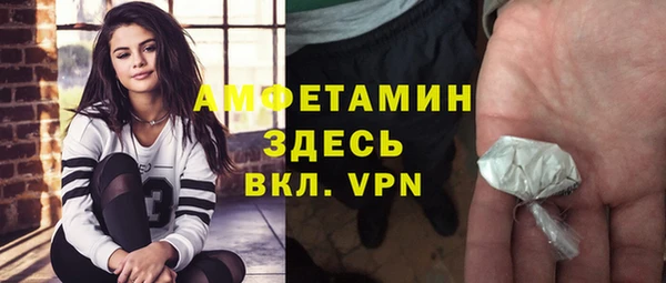 стафф Елизово