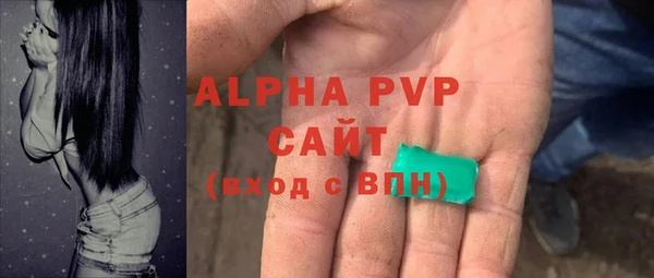 стафф Елизово