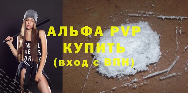 стафф Елизово