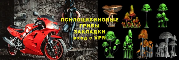 стафф Елизово