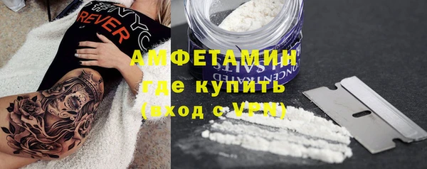 стафф Елизово